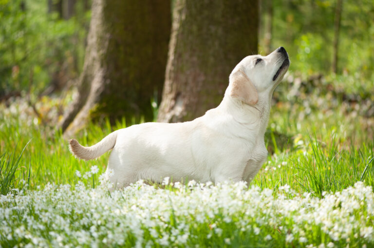 Hit of Hit Porsche (18)