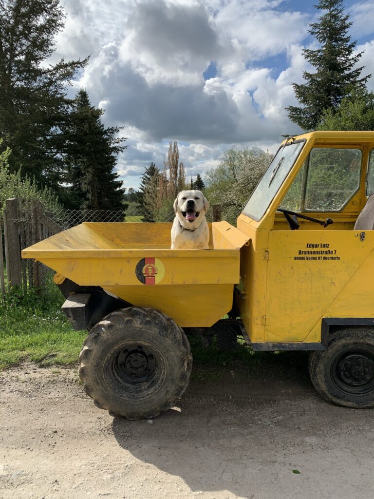 Hit of hit Porsche (3)