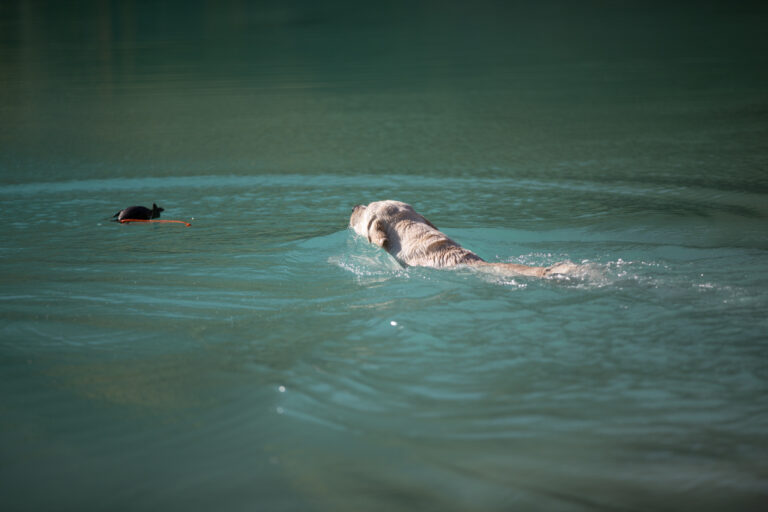 Hit of hit Porsche (8)