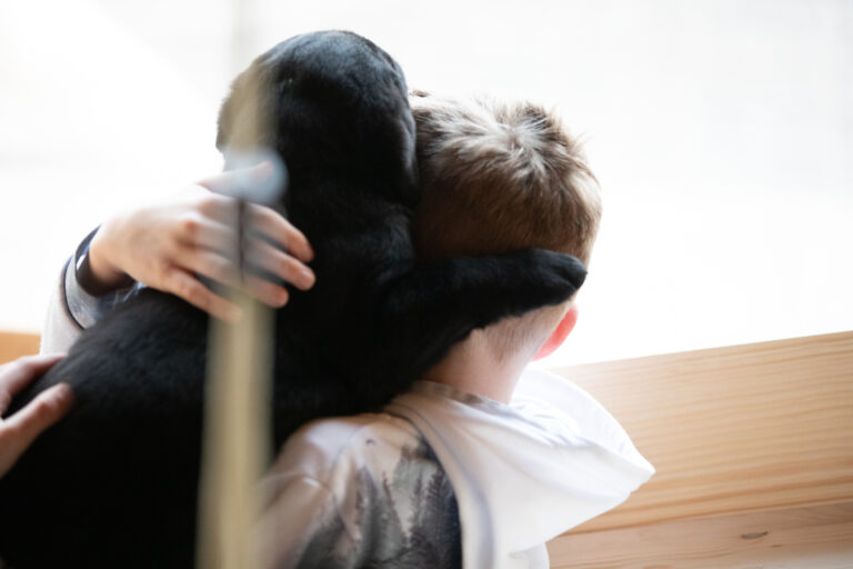 Labrador Welpen E Wurf