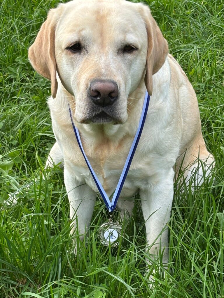 Ehemalige Zuchthuendinnen Meyerdogs Alpina (10)