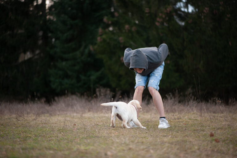 Labrador Welpen A Wurf (65)