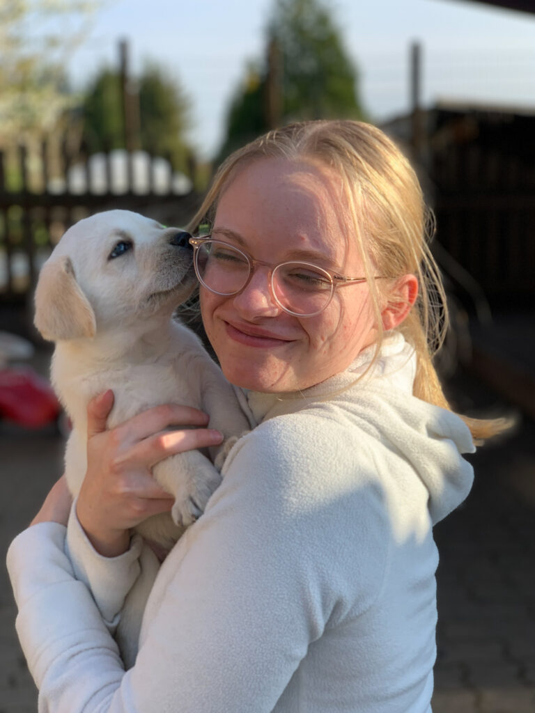 Labrador Welpen B Wurf 19