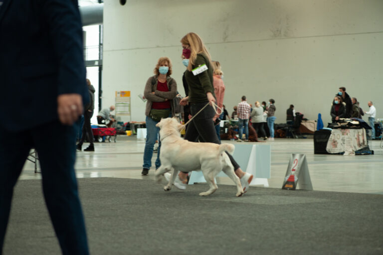 Hit of hit Porsche (97)