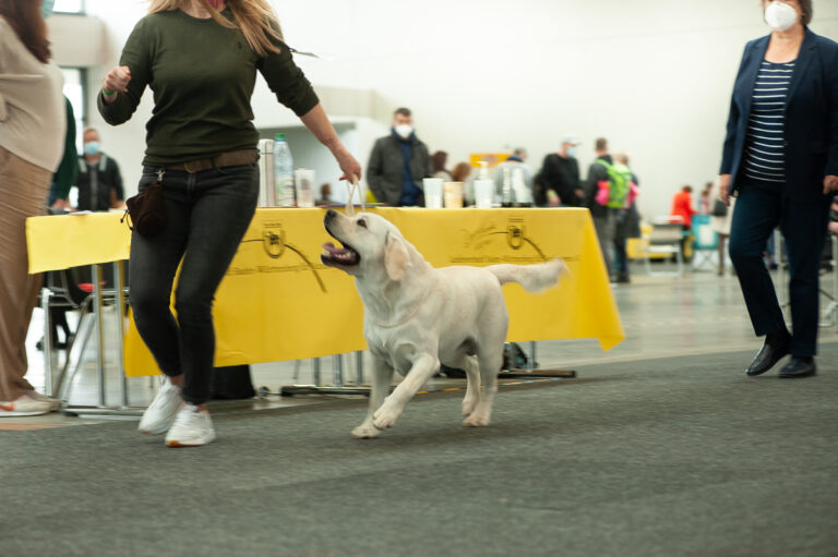 Hit of hit Porsche (98)